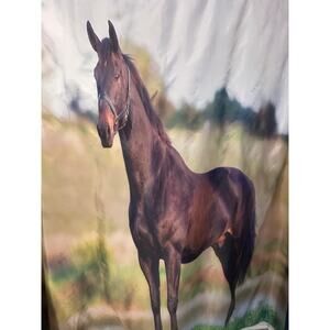 Realistic Brown Horse Pasture Shower Curtain With Metal Grommets
